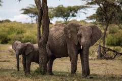 mahali_mzuri_batch_one-15