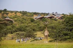 Mahali-Mzuri