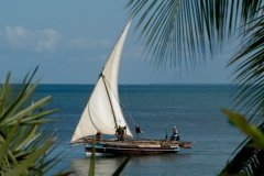 TheSafariandConservationCompany-MandaBay19
