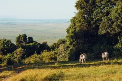 027-Manzili-Mara