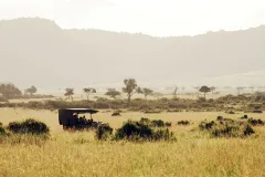 060-Manzili-Mara