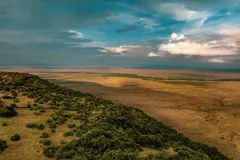 Manzili-Mara-Landscape-780x440-1