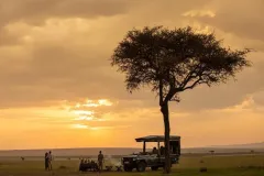 Mara_Plains_Camp_GreatPlainsConservation_Kenya_031