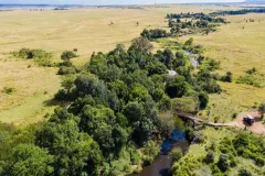 Mara_Plains_Camp_GreatPlainsConservation_Kenya_053