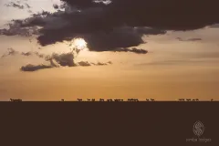 MaraSimbaLodge-sunset