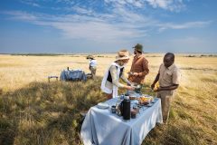 Great-Plains-Mara-Toto-Tree-Camp-bush-breakfast