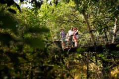 Great-Plains-Mara-Toto-Tree-Camp-guest-and-guide-looking-inot-trees