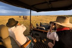 Great-Plains-Mara-Toto-Tree-Camp-guest-on-safari