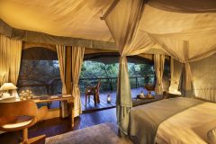 The Camp
Mara Toto Tree Camp is located in the legendary Maasai Mara National Reserve. It is the perfect camp to take advantage of the famous annual southern migration and the green season migration.

This Réserve-Collection Maasai Mara safari camp offers spectacular views of the Maasai Mara National Reserve and overlooks the Ntiakitiak River.