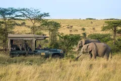 Great-Plains-Mara-Toto-Tree-Camp-elephants-and-safari-vehicle-1