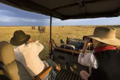 evening-safari-drives-at-Mara-toto-Tree-house