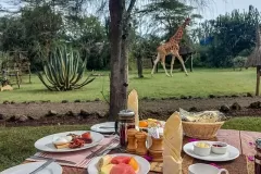 Mbweha-camp-dining2