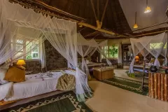Mbweha-camp-room1