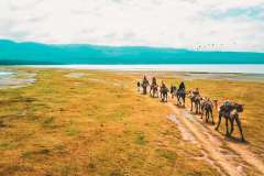 camel-ride-in-soysambu