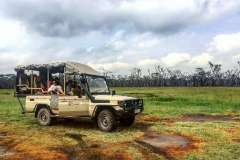 mbweha-camp-game-drive