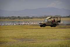 mbweha-camp-lake-nakuru