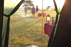 Flycamp-interior-tent-view