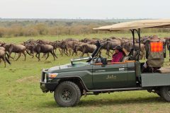 Naboisho-Specialist-photographic-vehicle-game-drive