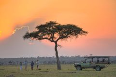 Naboisho-Sunset-game-drive1