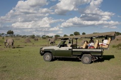 Ngare-Serian-Game-Drive