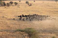 64ede7b8de957779619ba7d7_Nimali-Serengeti-Location-1