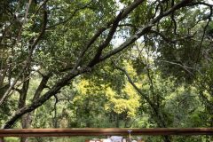 offbeat-mara-camp-dining