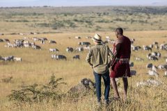 offbeat-mara-camp-north