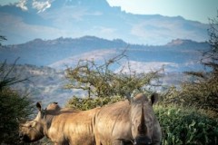 MG_5470_©SachaSpecker2019-scaled-1