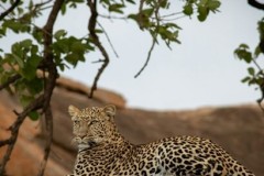 MG_6665_©SachaSpecker2019-scaled-1