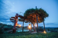 OL-MALO-Lodge-tree-house