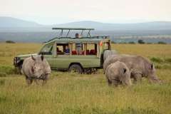 asilia-ol-pejeta-bush-game-drives