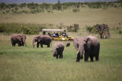 Game-Drive-Olare-Mara-Kempinski-2