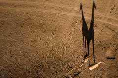 6_day_trip_DJI_0055