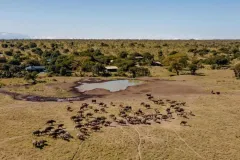 porini-rhino-camp-front-water-reserve-thegem-gallery-fullwidth