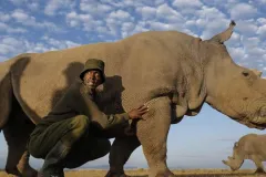 porini-rhino-camp-large-white-rhino-with-ranger-thegem-gallery-fullwidth