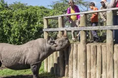 porini-rhino-camp-rhino-sancuary-thegem-gallery-fullwidth