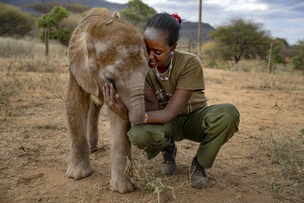 Cottars-safari-services-reteti-house-sanctuary-2