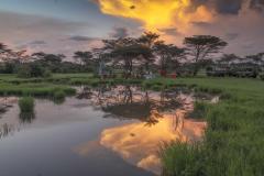 Bush-dinner-and-sundowner