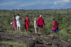 Guided-bush-walk