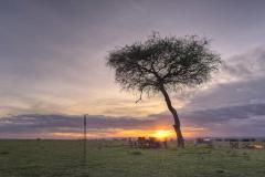 Sundowners-on-the-plains