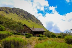 main-cabin-viewed-from-below