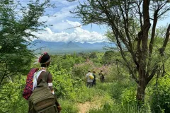 Sarara-Treehouses-experiences