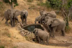 Sarara-treehouse-experiences