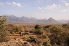 Sarara Safari Experiences