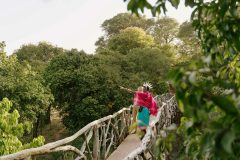 Sarara_Treehouses_Walkway_01