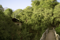 Sarara_Treehouses_Walkway_02