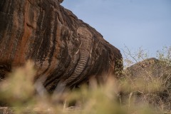 Sarara _ Reteti Elephant Sanctuary