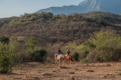 Bush-and-Beyond-Sarara-Camp-Activities-Guided-Pony-Rides-2