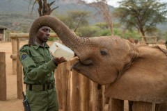 Lorian _ Reteti Elephant Sanctuary