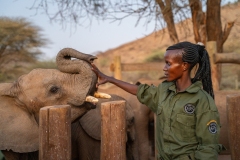 Reteti Elephant Sanctuary